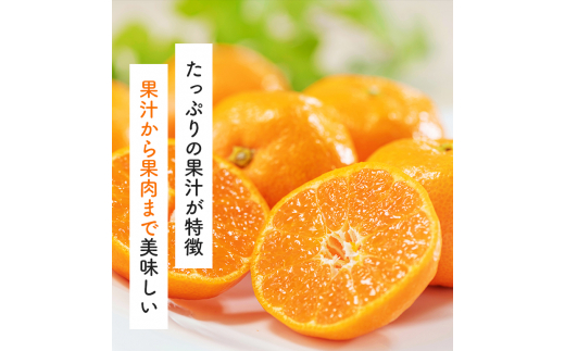 有田育ちのご家庭用完熟 有田みかん 2kg＋300g ※2024年11月上旬～11月下旬頃に順次発送【ard201A-1】