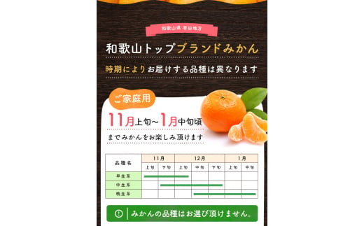 有田育ちのご家庭用完熟 有田みかん 2kg＋300g ※2024年11月上旬～11月下旬頃に順次発送【ard201A-1】