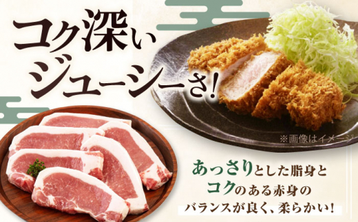 肉 豚肉 ロース ステーキ ステーキ用 とんかつ トンテキ 生姜焼き 