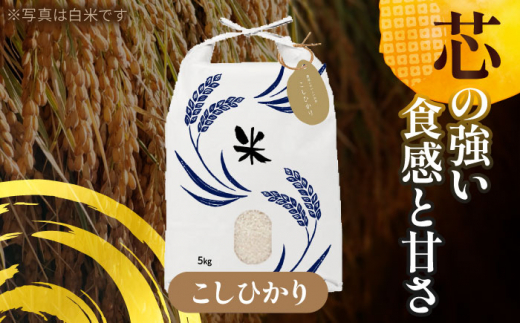 【3月発送】愛知県産 コシヒカリ・あいちのかおり 玄米 各5kg 特別栽培米 玄米 ご飯 愛西市／戸典オペレーター  [AECT008-3]