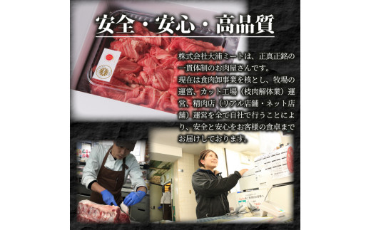 ★選べる配送月★【4月発送】神戸牛切り落とし(500g)《 牛肉 おすすめ 神戸牛 バーベキュー こま切れ 焼肉 切り落とし 冷凍 国産 送料無料 》【2401A00201-04】