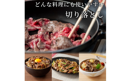 ★選べる配送月★【4月発送】神戸牛切り落とし(500g)《 牛肉 おすすめ 神戸牛 バーベキュー こま切れ 焼肉 切り落とし 冷凍 国産 送料無料 》【2401A00201-04】