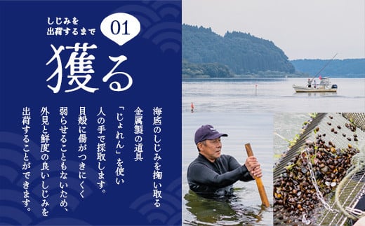 砂抜き済みで手間いらず！冷凍・小川原湖産大和しじみ5.5kg（500g×11袋）　【02408-0030】