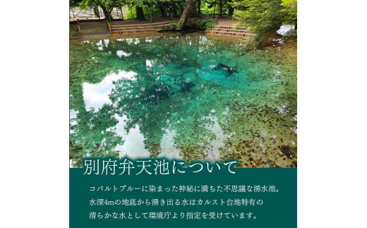 【先行予約】デラウェア 3kg箱 ｜ 自然農法 化学肥料不使用 小粒 ぶどう ブドウ 弁天ぶどう  デラウェア 果物 果実 お試し セット 3kg 山口 美祢 特産品 別府弁天池 先行予約