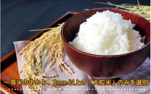 令和6年産 邑南町瑞穂産コシヒカリ10kg（5kg×2）