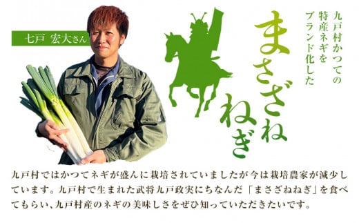 まさざねねぎ 15本 2Lサイズ 七戸宏大《9月中旬-12月上旬頃出荷》岩手県 九戸村 野菜 やさい ねぎ ネギ 葱 武将 送料無料