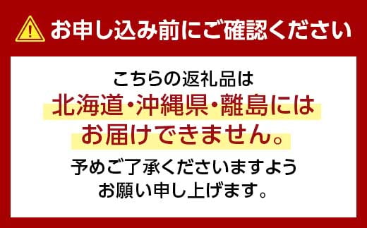 ◆先行受付◆　2025年発送　岡山県産　岡山白桃 5～7玉(1) TY0-0034