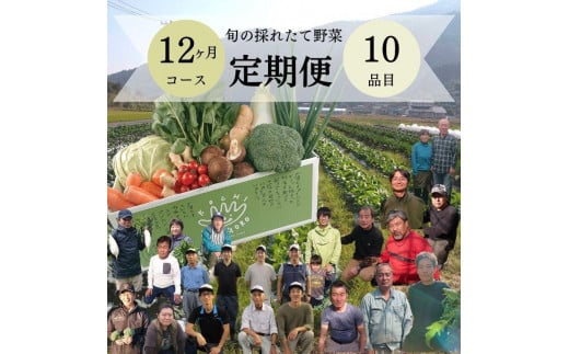 『定期便』野菜詰め合わせセット12ヵ月