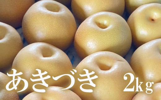 No.1717梨　なし　あきづき　約2kg　【2025年発送　先行予約】