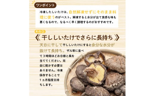 【11月より発送開始】国産 肉厚 しいたけ 1kg(500g×2袋) 無農薬 青森 新規就農者応援 【 きのこ 肉 厚 】