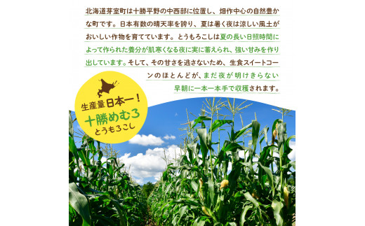 【先行予約】【2025年産】北海道十勝芽室町 とうもろこし スイートコーン20本 イエロー種 me002-014c-25