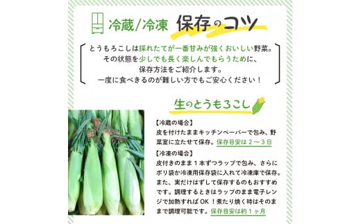 【先行予約】【2025年産】北海道十勝芽室町 とうもろこし スイートコーン20本 イエロー種 me002-014c-25