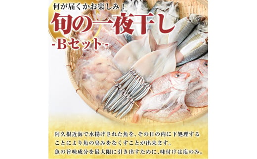 数量限定！阿久根市産の旬の一夜干しグルメ＜B＞セット(鯛・アジ・イカ・サバなど)国産 鮮魚 詰め合わせ お楽しみ 海の幸 魚介類 干物 海鮮【さるがく水産】a-24-34-z