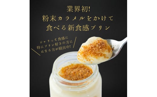 0538 プリン専門店Totto PURIN プリン食べ比べ4個セット