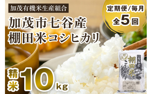 【令和6年産新米先行予約】【定期便5ヶ月毎月お届け】七谷産 棚田米 コシヒカリ 精米 10kg（5kg×2）白米 加茂有機米生産組合 新潟県 加茂市産 白米 米 お米 定期便