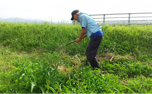 草取り 代行プラン L（上越市内限定）草刈り 手作業 雑草 除草 上越市