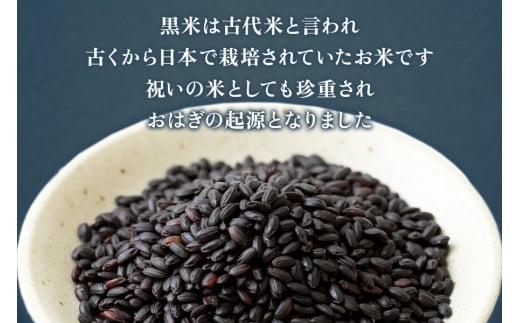 古代米 あげもち《醤油・しお》10袋セット｜せんべい 煎餅 古代米 もち米 揚げ餅 栄養 健康 丸善 印西 [0456]