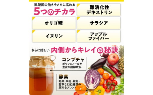 乳酸菌サプリメント ナノ型乳酸菌10兆個&ビフィズス菌配合 菌活すっきり 6袋(6ヶ月分)【1495264】