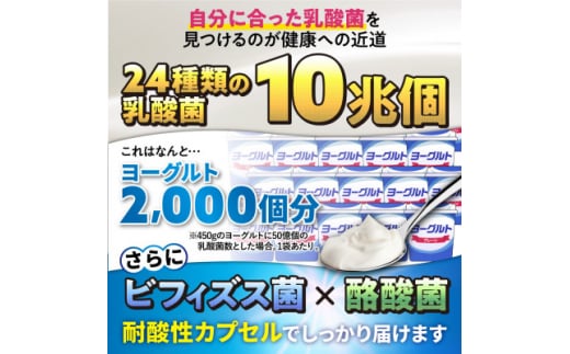 乳酸菌サプリメント ナノ型乳酸菌10兆個&ビフィズス菌配合 菌活すっきり 6袋(6ヶ月分)【1495264】