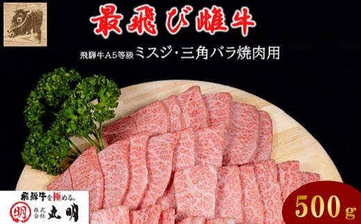 ＜最飛び雌牛＞飛騨牛A5等級ミスジ・三角バラ焼肉用　500g【1520156】