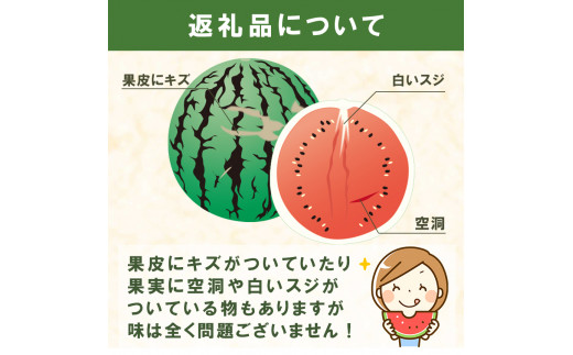 大玉スイカ 赤 羅皇ザ・スウィート 1玉 | 熊本県 熊本 くまもと 和水町 なごみ すいか 西瓜 スイカ 羅皇 ザ・スウィート 産地直送 果物 フルーツ