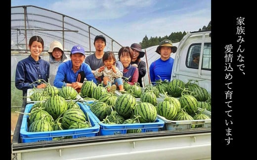 大玉スイカ 赤 羅皇ザ・スウィート 1玉 | 熊本県 熊本 くまもと 和水町 なごみ すいか 西瓜 スイカ 羅皇 ザ・スウィート 産地直送 果物 フルーツ