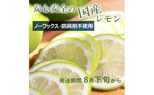 璃の香レモン　約1.5㎏　（4～6個）訳ありご家庭用　果物　柑橘　フルーツ　レモン　高知県土佐市　お取り寄せ 産地直送　おいしい 美味しい　白木果樹園