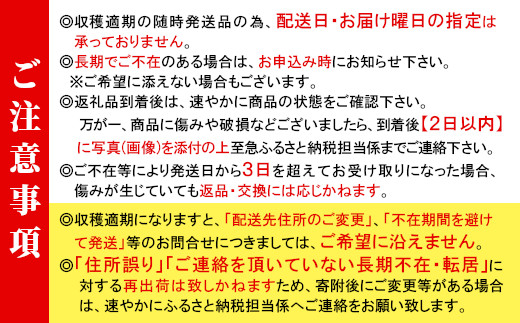 3人に1人がリピーター★2024年7月～8月にお届け★お試し1kg！山の湧き水で育った高原トマト「フルティカ」割れ保障付 4000円