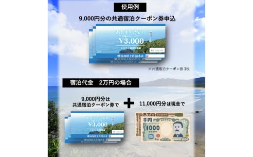 あしずり温泉郷 共通宿泊クーポン券 30,000円分 あしずり温泉郷 旅行券 トラベル ペア 家族 温泉 ホテル 観光 旅行 国内旅行 宿泊 宿泊施設 自然 旅館 高知県 土佐清水市【R01317】