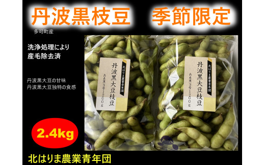 【季節限定】丹波黒大豆枝豆 朝収穫 毛取り洗浄済 さやのみ 2.4kg  化粧箱入り [963] 発送は2024年10月15日以降