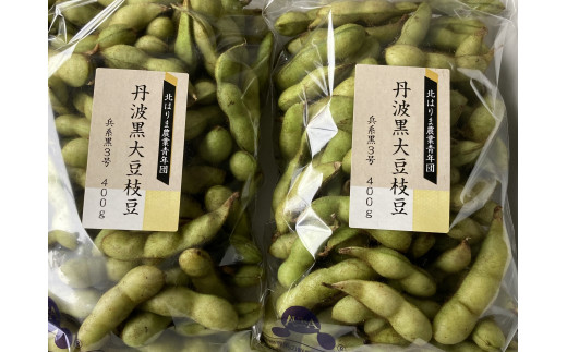 【季節限定】丹波黒大豆枝豆 朝収穫 毛取り洗浄済 さやのみ 2.4kg  化粧箱入り [963] 