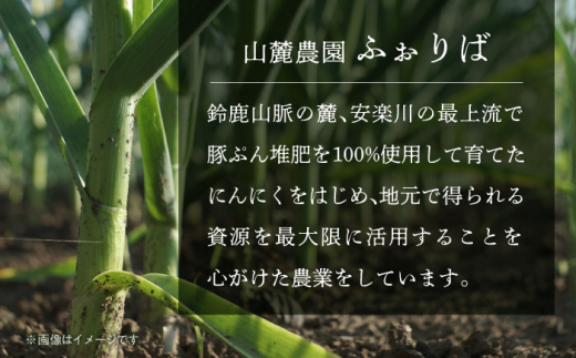 独自製法で熟成させた黒にんにく 亀山市/山麓農園ふぉりば にんにく 熟成 送料無料 [AMBK001]