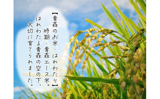 数量限定 新米 令和6年産 はれわたり 無洗米 5kg 1袋 令和4年産米の食味ランキング特A取得 米 白米 こめ お米 おこめ コメ ご飯 ごはん 特A 特A米 令和6年 限定 H.GREENWORK 青森 青森県