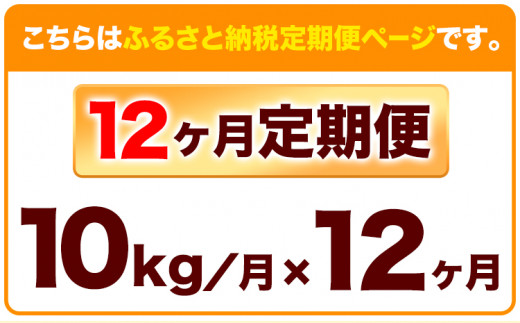 176. 【12ヶ月定期便】米粉 きぬむすめ 10kg ありがとう園《お申込み月の翌月から出荷開始》岡山県 矢掛町 米 コメ 一等米 きぬむすめ 100％ 料理用 定期便