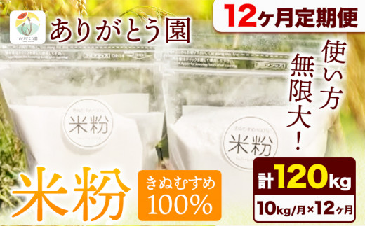 176. 【12ヶ月定期便】米粉 きぬむすめ 10kg ありがとう園《お申込み月の翌月から出荷開始》岡山県 矢掛町 米 コメ 一等米 きぬむすめ 100％ 料理用 定期便