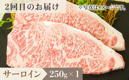 ＜3回定期便＞1ヶ月に1度の佐賀牛ひとり贅沢コース ステーキ/焼肉/スライス【ミートフーズ華松】 [FAY065]