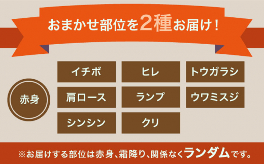 ＜3回定期便＞1ヶ月に1度の佐賀牛ひとり贅沢コース ステーキ/焼肉/スライス【ミートフーズ華松】 [FAY065]