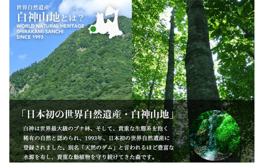 36か月連続お届け！！ 白神山地の水 500ml×24本 定期便 ナチュラルウォーター 飲料水 軟水 超軟水 非加熱 弱酸性 湧水 湧き水 水 お水 ウォーター ペットボトル 青森県 鰺ヶ沢町 国産