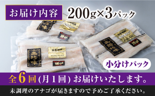 【全6回定期便】対馬産 西沖あなご 200g×3パック《対馬市》【保家商事】 あなご 穴子 アナゴ 海鮮 海産物 魚介 [WAA026]