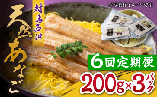 【全6回定期便】対馬産 西沖あなご 200g×3パック《対馬市》【保家商事】 あなご 穴子 アナゴ 海鮮 海産物 魚介 [WAA026]