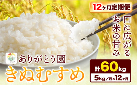 197. 【12ヶ月定期便】令和6年産 米 岡山県産 きぬむすめ 白米 選べる 5kg ありがとう園《お申込み月の翌月から出荷開始》岡山県 矢掛町 米 コメ 一等米 定期便 定期