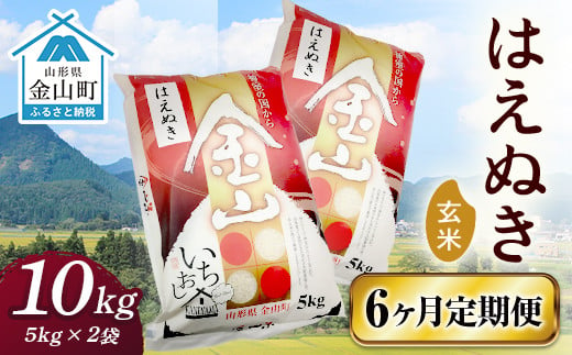 令和6年産《定期便》 金山産米 はえぬき【玄米】（5kg×2袋）×6ヶ月計60kg 定期便 6ヶ月 米 お米 ご飯 玄米 ブランド米 送料無料 東北 山形 金山町 F4B-0524