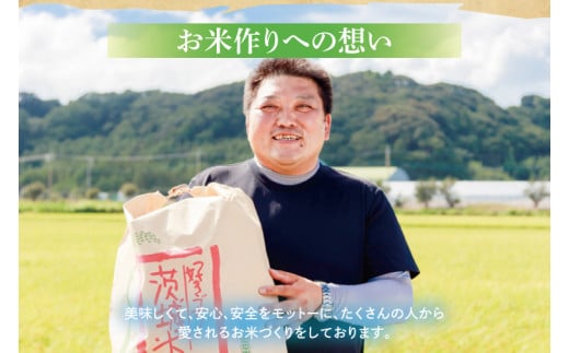 【令和6年産】鹿嶋市産ミルキークイーンと特別栽培米コシヒカリ食べ比べセット計10kg(各5kg×1袋)【お米 米 こしひかり 特別栽培 有機肥料 有機栽培 鹿嶋市 茨城県 玄米 白米 新米 おにぎり ごはん 30000円以内 3万円以内】(KBS-10）