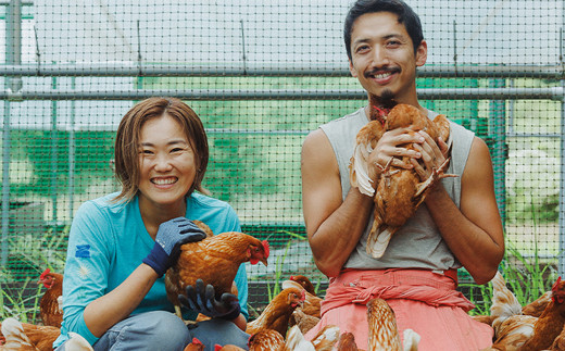 【定期便6ヶ月】 湘南大磯産平飼い鶏卵 30個＜2024年12月1日出荷開始　6ヶ月連続でお届け＞【 たまご 神奈川県 大磯町 】