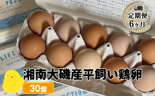 【定期便6ヶ月】 湘南大磯産平飼い鶏卵 30個＜2024年12月1日出荷開始　6ヶ月連続でお届け＞【 たまご 神奈川県 大磯町 】