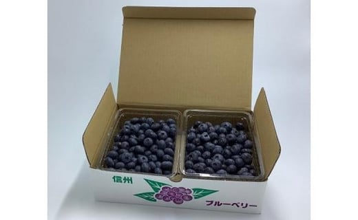 ブルーベリー 生食用 1kg ( 500g × 2パック ) 長野県大町市