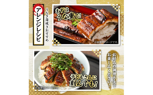 【0244311a】並サイズの満足感！東串良町のうなぎ蒲焼(無頭)(5尾・計約600g・タレ、山椒付)うなぎ 高級 ウナギ 鰻 国産 蒲焼 蒲焼き たれ 鹿児島 ふるさと 人気【アクアおおすみ】