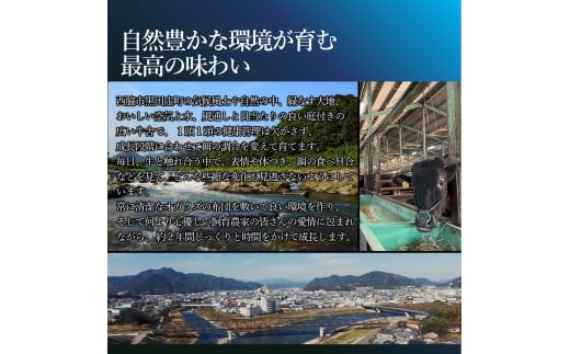 「但馬牛」の子牛に納得行くまで愛情をそそぎ、自然豊かな環境の中で育て上げた傑作の牛が「黒田庄和牛」です。