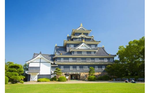 岡山県岡山市 日本旅行 地域限定旅行クーポン90,000円分