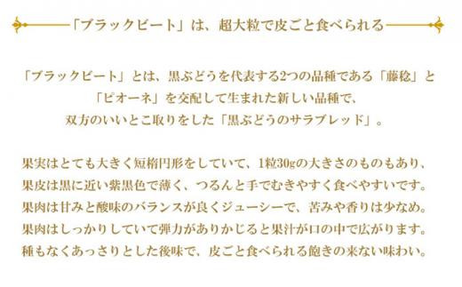 ぶどう 2024年 先行予約 ブラックビート 約700g×1房 ブドウ 葡萄  岡山県産 国産 フルーツ 果物 ギフト